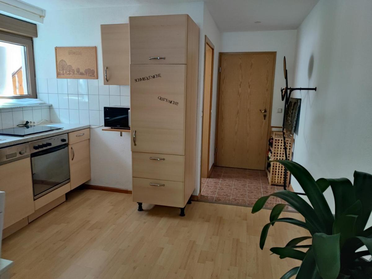 Apartment Entegast Шопфхайм Экстерьер фото